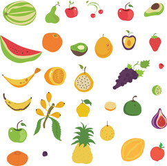 Fruits vector - Peruvian sweet fruit drawings.