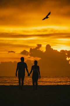Unrecognizable romantic couple holding hands and admiring ocean at sundown