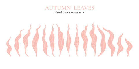 Hand drawn vector set of autumn pink leaves isolated on white background.