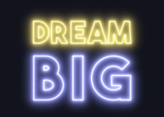A neon text message (lines and curves): Dream Big. Retro vaporwave feeling.
