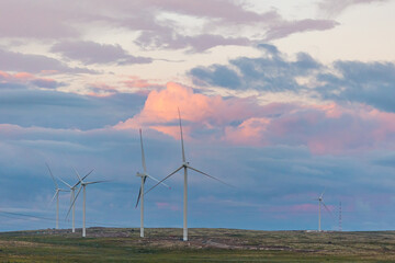 White wind turbines installed in scandinavian tundra, background blue sky sunset