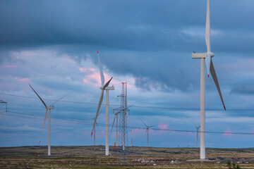 White wind turbines installed in scandinavian tundra, background blue sky sunset