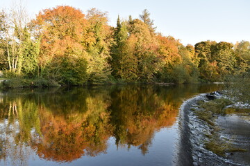 Fototapeta na wymiar Autumn colours on weir, River Nore, River Nore Linear Park, Riverside Walk, Kilkenny, Ireland