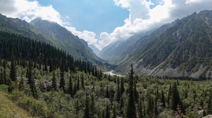 Mountain river and forest in summer Kyrgyzstan