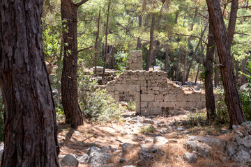 Historical ruins in the forest, Phaselis ancient city, Antalya