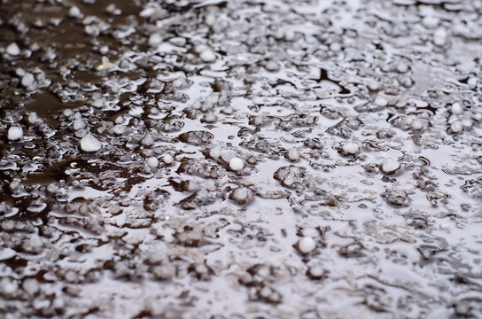 Melting hail on a dark brown surface, sleet, stormy weather, springtime, selective focus, close-up