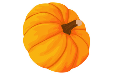 fresh pumpkin fruit vector For Halloween