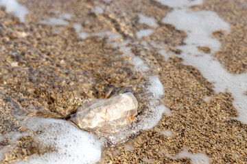 Natural stone in white and yellow colors in the water on the beach.