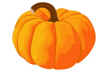 fresh pumpkin fruit vector For Halloween