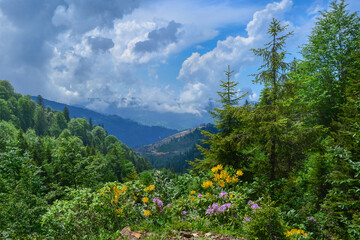 Platau scenery in the black sea region of Turkey (Türkiye).