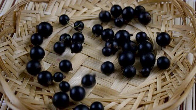 Slow motion. Blackcurrant berries fall into a wicker plate