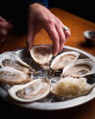 hand holding an oyster 