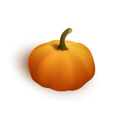 Autumn orange pumpkin for halloween or thanksgiving celebration isolated on white background. Vector illustration