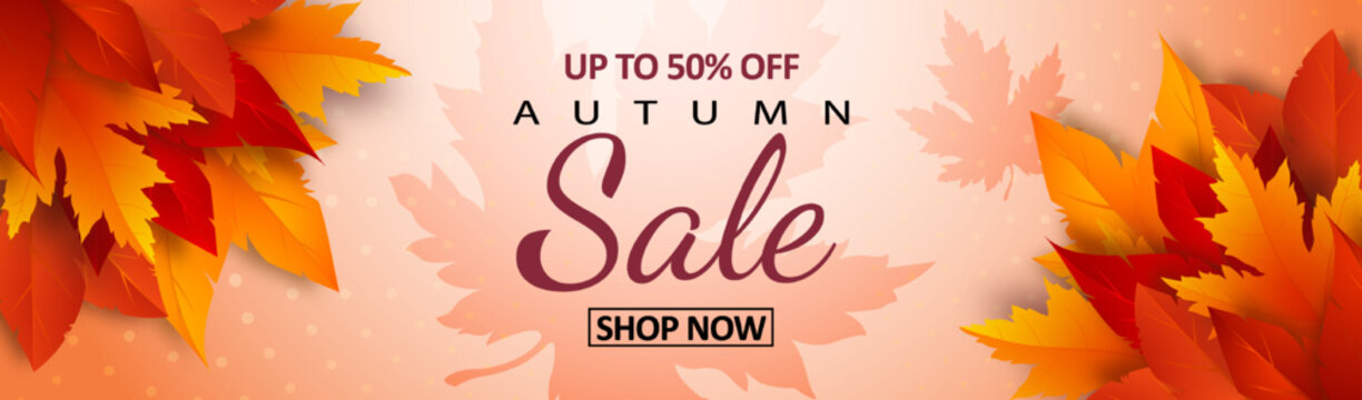 Autumn sale banner with realistic yellow, red, orange leaves and advertising discount text decoration. Vector illustration
