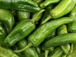 close up of fresh ripe padron peppers, top view of capsicum annuum, green pepper from spain