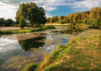 Summer landscape with Sestra river, trees in the Sestroretsky park, Russia, Moscow region, Klin city