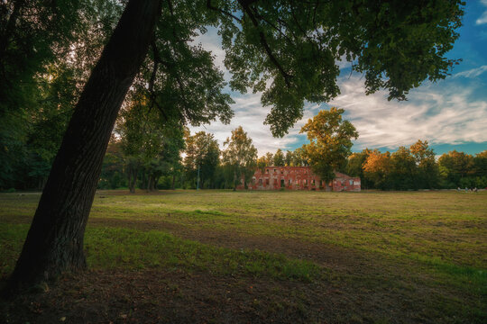 Summer landscape with trees in the park of Demyanovo Estate, Russia, Moscow region, Klin city