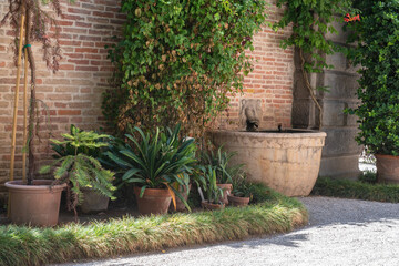 Fototapeta na wymiar Flower pot with plant against brick wall in old european garden