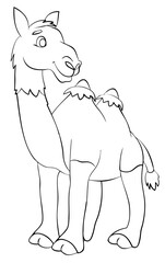 Camel. Element for coloring page. Cartoon style.