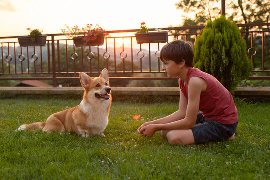 Child , playing with him in garden, teaching him new stuff