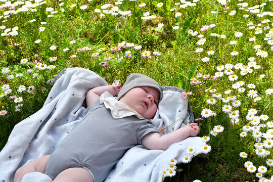 Little cute baby sleeping on the grass lawn with daisies.