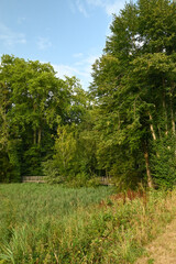 Beautiful view of Enghien park