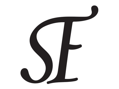 STE LOGO FOR UNIQUE BUSINESS