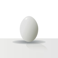 White chicken egg with shell