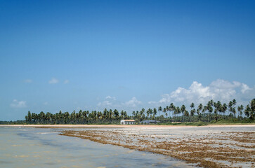 S&atilde;o Miguel dos Milagres - AL 