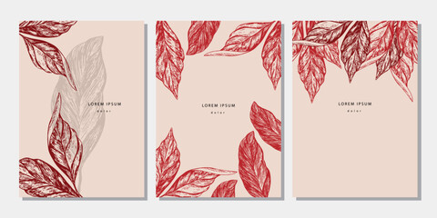 Set of autumn template with hand drawn leaves. Collection of pencil drawing cocoa tree leaves on beige background