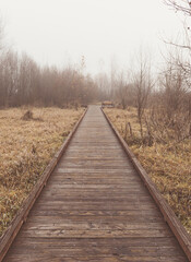 Fototapeta premium Wooden Boardwalk Path in Fog in Environmental Park Meadow in Autumn