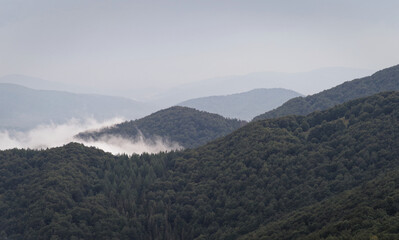 Mgły po deszczu w górach.