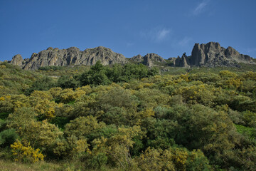 Panoramic views in a rural environment, mountain landscape with many trees and blue sky. Valdeón viewpoint, Picos de Europa, Castilla y Leon, Spain.