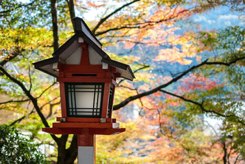 Japanese wooden lantern on the background of green, yellow and red autumn leaves