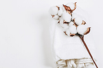 Cotton towel and coton branch. Natural eco friendly fabric