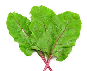 beetroot leaves with drops isolated on white background. clipping path