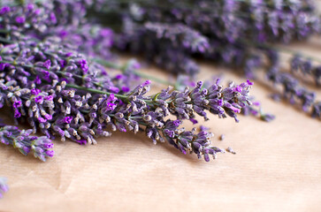 A sprig of dry lavender