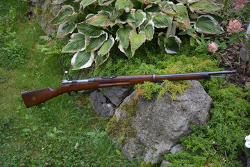 Schwedenmauser