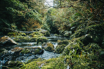 mclean falls, otago, southland, walk, new zealand, nz, walk, nature, water, cascade, river, stream, forest, fall, falls, spring, hike, stone