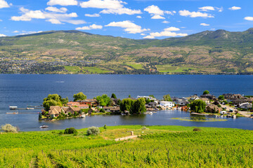 Fototapeta premium Westbank West Kelowna Okanagan Lake Vineyard
