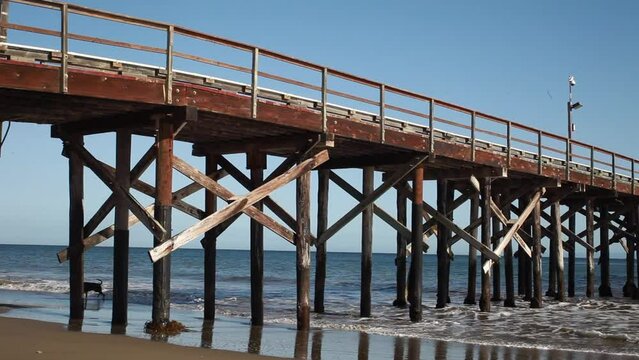 Santa Barbara's Beautiful Beaches Goleta UCSB East Beach