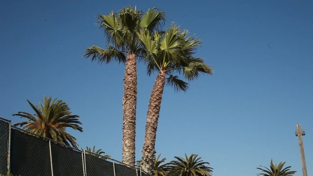 Santa Barbara's Beautiful Beaches Goleta UCSB East Beach