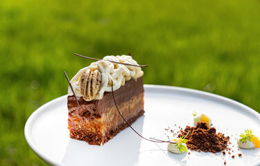 tasty cake with vanilla cream on white plate
