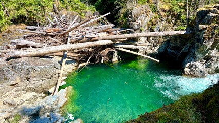 View of the Wahoosh Falls, Ontario, Canada. Englishman river falls park Parksville Qualicum Vancouver Island Canada High quality photo