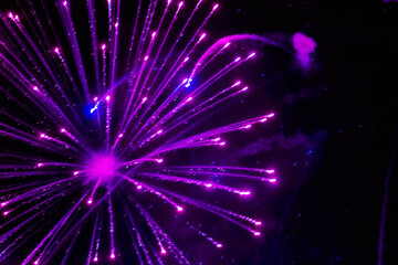 Bright, beautiful purple fireworks in the night sky.