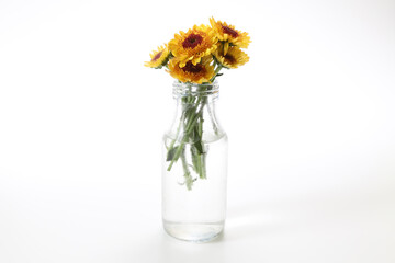 ガラス瓶にいけた菊の花束