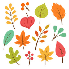 Leaves, autumn decorative elements, vector illustrations set.