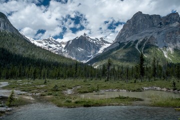 Landscape of mountains and forest at Emerald lake