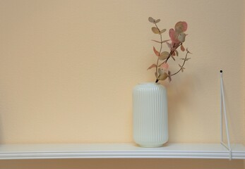 design of walls, shelf with vase and plant branch
