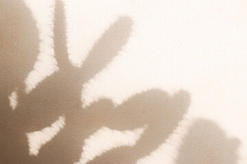 cactus shadows that simulate people on a pink background
